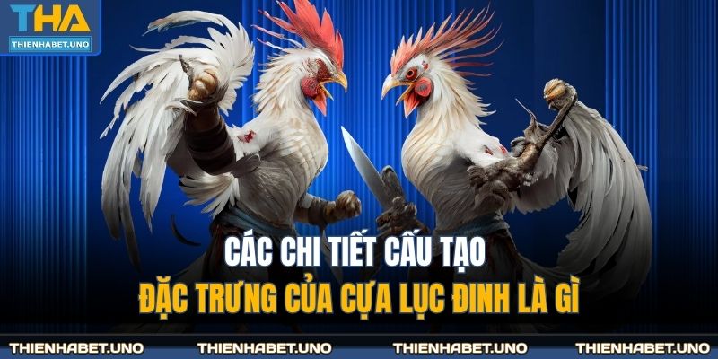 Các chi tiết cấu tạo đặc trưng của cựa lục đinh là gì