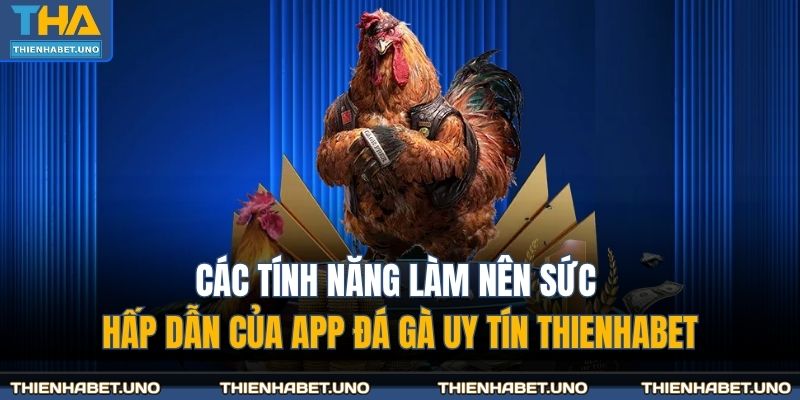 Các tính năng làm nên sức hấp dẫn của app đá gà uy tín THIENHABET