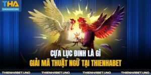 cựa lục đinh là gì