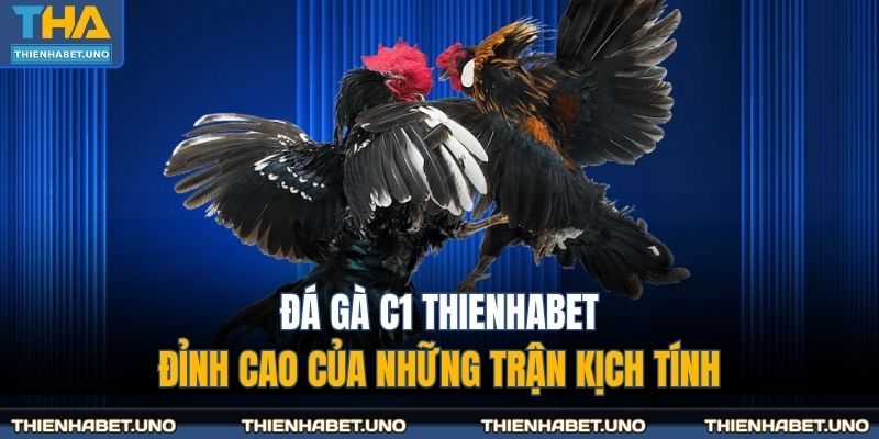 đá gà C1