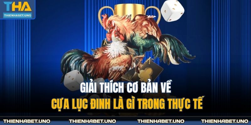 Giải thích cơ bản về cựa lục đinh là gì trong thực tế