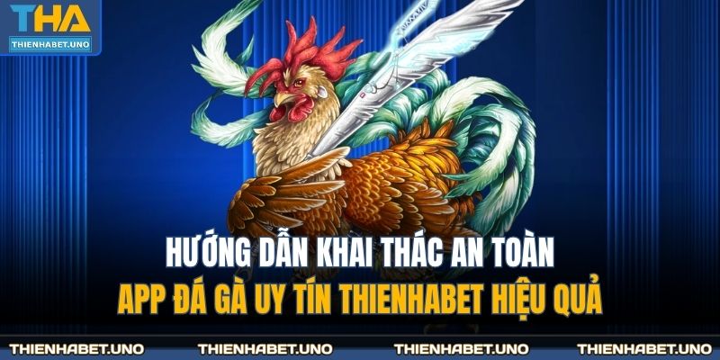 Hướng dẫn khai thác an toàn app đá gà uy tín THIENHABET hiệu quả