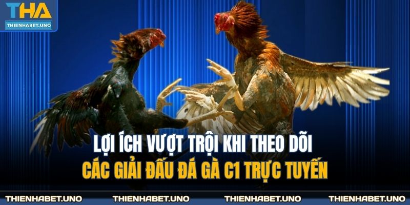 Lợi ích vượt trội khi theo dõi các giải đấu đá gà C1 trực tuyến