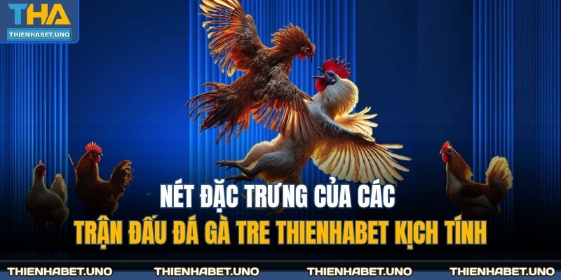 Nét đặc trưng của các trận đấu đá gà tre THIENHABET kịch tính