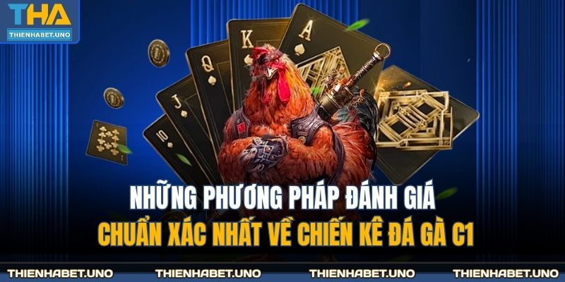 Những phương pháp đánh giá chuẩn xác nhất về chiến kê đá gà C1